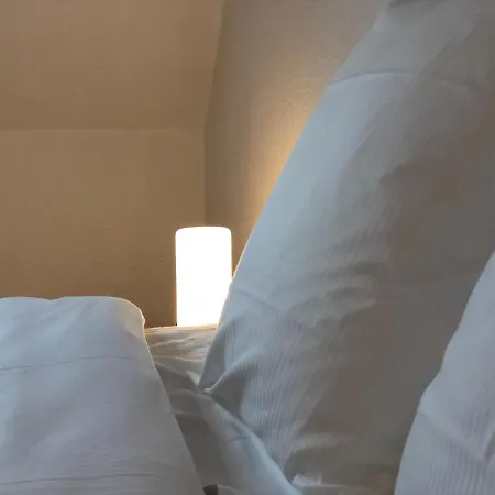 Apartment Le 6 - Le Chateau Du Haut-koenigsbourg